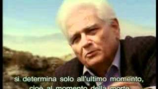 Derrida e leterno ritorno [upl. by Anauqaj]