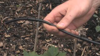 Drip Irrigation Basics [upl. by Hillard887]