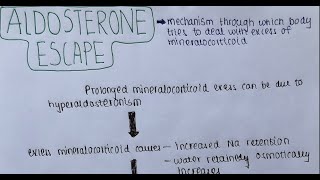 What Is Aldosterone Escape Mechanism In 2 Minutes  USMLE STEP ONE [upl. by Nolla148]