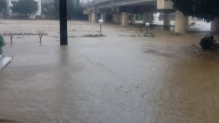 MARIKINA RIVER UPDATE [upl. by Abernon130]