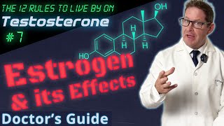 Estrogen Management on TRT  12 Rules to Live by on Testosterone  Doctors Guide [upl. by Kit]