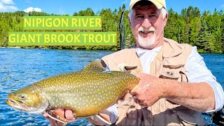 Nipigon River Giant Brook Trout [upl. by Lupe]