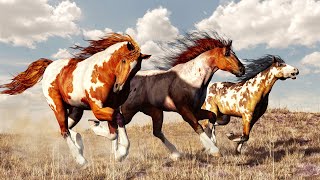 Wild Horses Natures Survivors in North America [upl. by Eolcin]