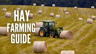 Hay Farming Essentials A Comprehensive Guide to Growing Hay [upl. by Dwyer]