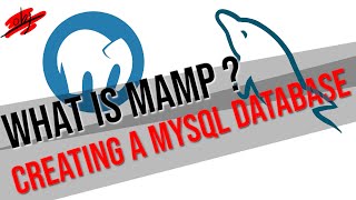 What is MAMP and Creating a MySQL Database Junior Dev [upl. by Tnecniv608]