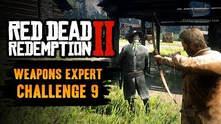 Red Dead Redemption 2 Weapons Expert Challenge 9 Guide  Kill 9 enemies from behind using the bow [upl. by Salomo711]