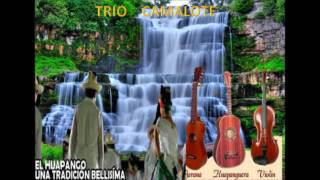 TRIO CAMALOTE DE PANUCO VERACRUZ [upl. by Apps]