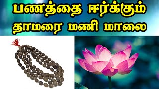 Thamarai Malai  தாமரை மணி மாலை Mothermediabhakti [upl. by Mcadams]