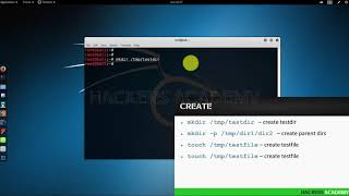 How to Creating Files and Directories for Kali Linux [upl. by Lowson]