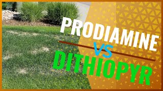 How To Choose The Right PreEmergent PRODIAMINE vs DITHIOPYR Crabgrass Preventer [upl. by Maureen127]