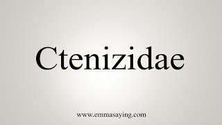 How To Say Ctenizidae [upl. by Amlus]