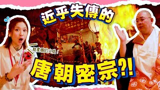 難得一見！當年近呼失傳的唐朝密宗【護摩法會】！現場好震撼！daishisanji [upl. by Nedgo]