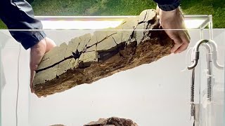 Hardscape aquarium step by step [upl. by Jedidiah]