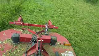 Case Farmall 115C and Bush Hog 3308 mowing a 5 acre field Heavy growth [upl. by Saylor]