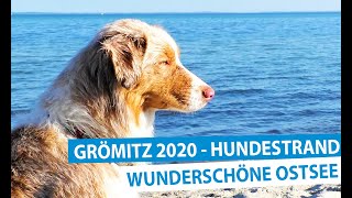 Grömitz an der Ostsee  Der Hundestrand [upl. by Curhan821]