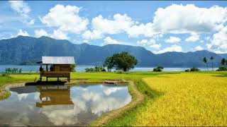 Backsound Relaksasi Suara Alam Pedesaan Kampung Suara Burung Dan Ayam [upl. by Aleacem116]