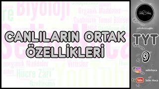 1 Canlıların Ortak Özellikleri [upl. by Haram]