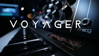 Moog Voyager [upl. by Einnob]