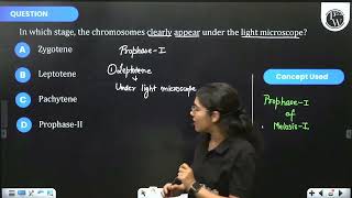 In which stage the chromosomes clearly appear under the light microscope [upl. by Karr]