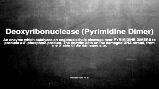 Medical vocabulary What does Deoxyribonuclease Pyrimidine Dimer mean [upl. by Negah]