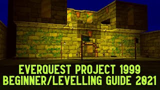 Everquest P99 BeginnerLevelling Guide 2021 Ep2 [upl. by Onyx]