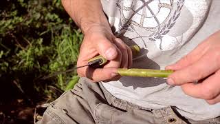 How to whittle carve a whistle in wood in under a minute Speed whittling [upl. by Leal277]