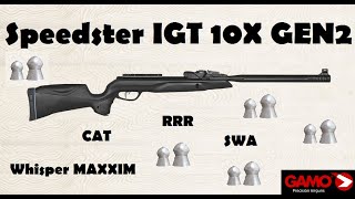 Gamo Speedster IGT 10X GEN2 rifle review [upl. by Penn]