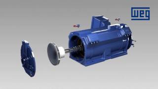 WEG Water Jacket Cooled Motors  WGM Line [upl. by Ecienaj]