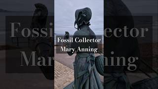 FOSSIL COLLECTOR MARY ANNING STATUE LYME REGIS fossil ammonite Lyme fossilfinds fossilhunting [upl. by Notyap]