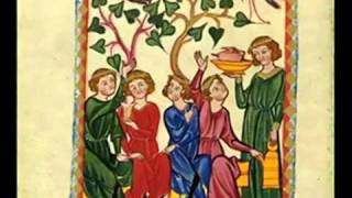 Istu vinum bonum vinum vinum generosu  Micrologus  Codex Manesse [upl. by Eenaffit]