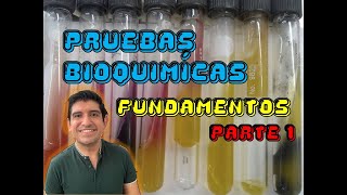 Pruebas bioquímicas Parte 1 [upl. by Llerrem]