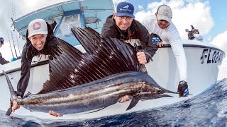 Kite Fishing for Sailfish and other Species  4K [upl. by Lemhaj]