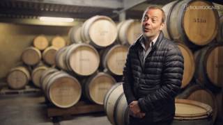 La légende des Grands Crus blancs de Montrachet [upl. by Kho741]