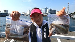 【東京湾キス釣り】巨大シロギスが大量に釣れる釣り方【船シロギス釣り】釣りガールの本気をご覧ください【長崎屋】 [upl. by Mischa575]