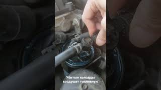 19tdi заводится и глохнет после ночного простояпричина  износ посадочных мест НФ [upl. by Ailema130]