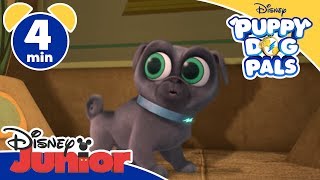 Puppy Dog Pals  La mummia  Disney Junior Italia [upl. by Stefanie]