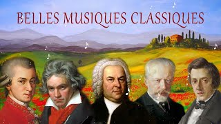 Musique Classique pour Travailler et se Concentrer  Musique Classique Douce pour Étudier  1 heures [upl. by Eibot]