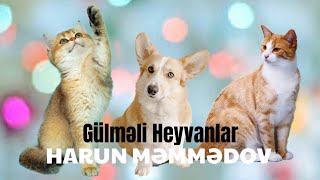 Gülməli Heyvanlar  Harun Məmmədov [upl. by Shih406]