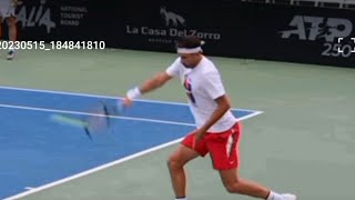 Dimitrov Backhand Slow Motion [upl. by Cirred641]