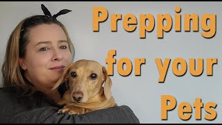 Prepping for your Pets  What we keep on hand for Sort amp Long Term Emergencies [upl. by Omar]