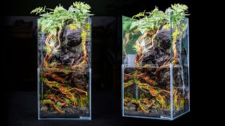 DIY Skyscraper Paludarium With Moss Waterfall [upl. by Elac]