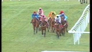 1995 Queen Mother Champion Chase [upl. by Herm]