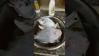 fish shuwaikh bridg kuwaitcity love viralvideo [upl. by Kerin]