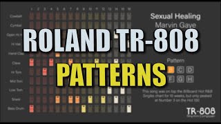 TR808 Patterns  The Drum Machine of the 80s [upl. by Kcirednek]