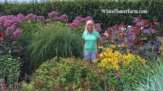 Growing Ornamental Grasses [upl. by Stavros]