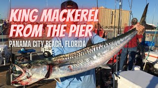 Panama City Beach Pier Fishing at RussellFields City Pier  24 Pound King Mackerel [upl. by Delanie]