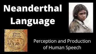 Neanderthal Language Perception and Production of Human Speech [upl. by Oshinski]