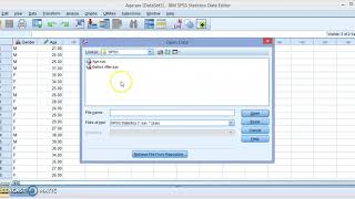 Getting Started with IBM SPSS 26 [upl. by Libove19]