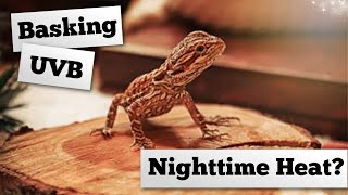 A Beginner Guide To Bearded Dragon Lights and Heat [upl. by Akienahs]