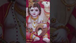 Murli manohar mohan murari song news trendingshorts video [upl. by Christabelle165]